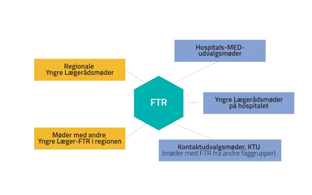 Grafisk oversigt som viser obligatoriske møder for FTR