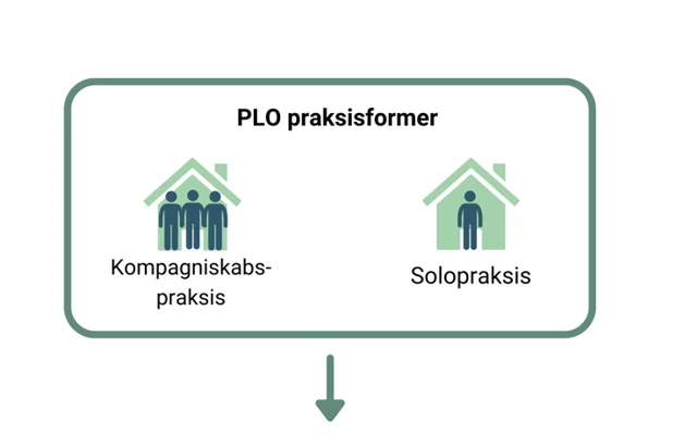 Praksisformer