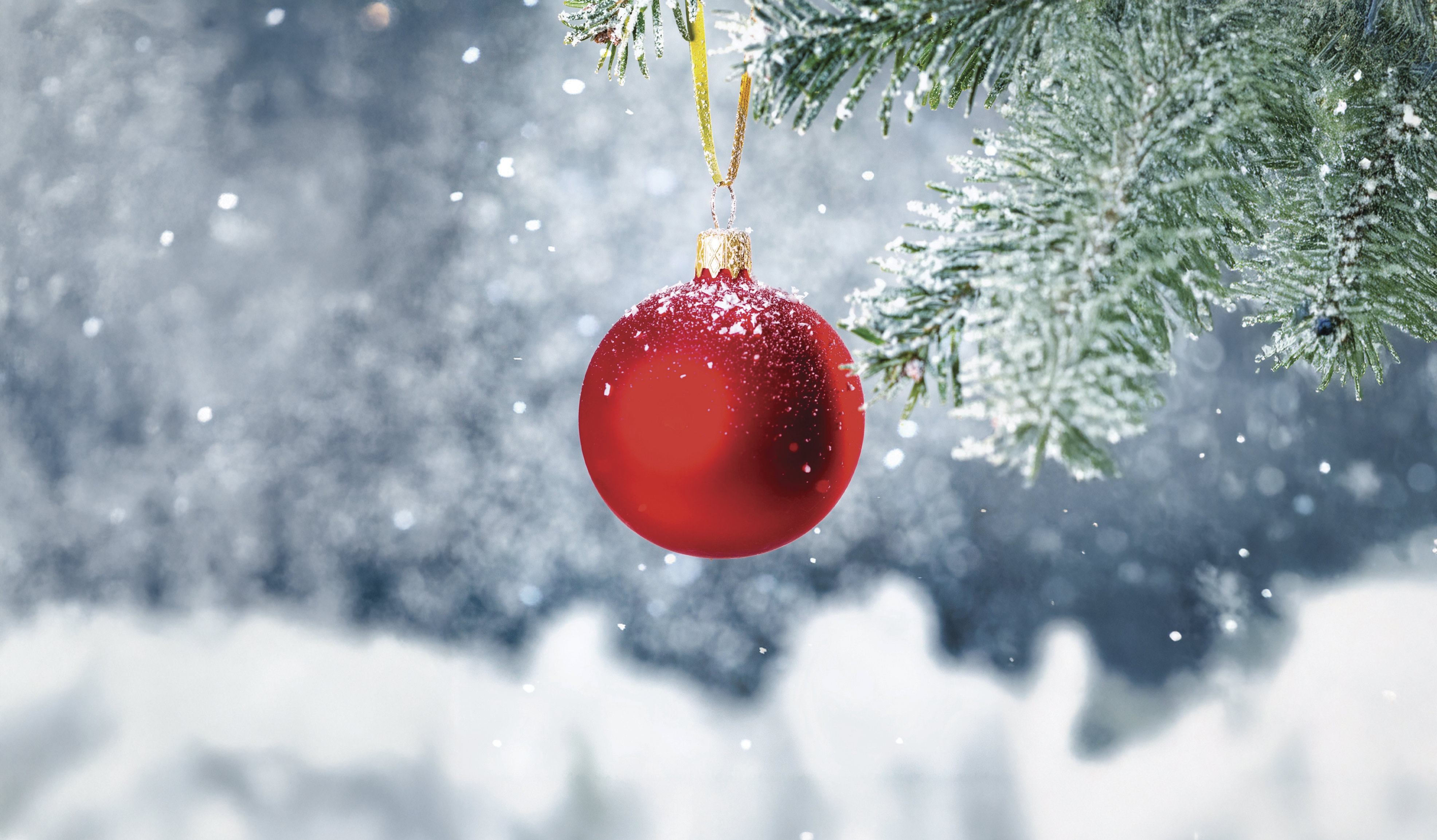 Julekort til Christina Egelund