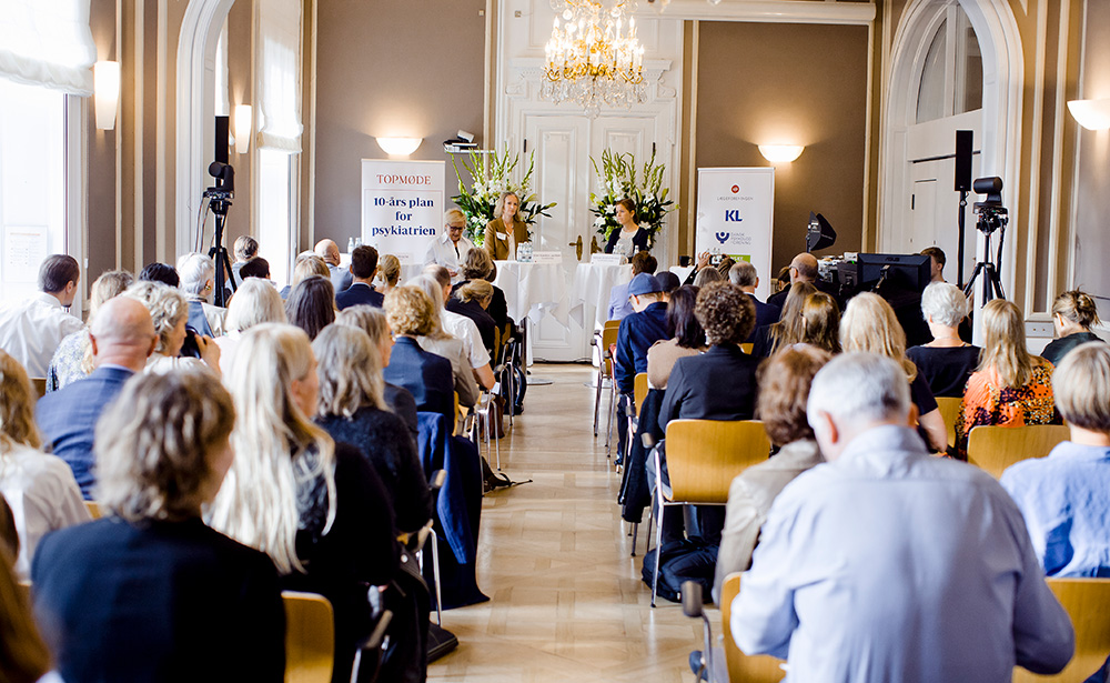 Konference afholdt i Domus Medica.